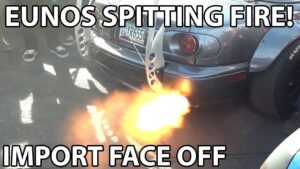 IMPORT FACE OFF!
